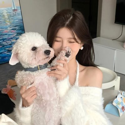 情断干戈